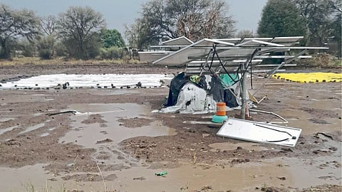 Rain Damage