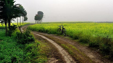 Agriculture Road