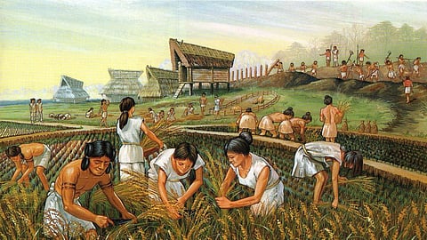 Indian Agriculture