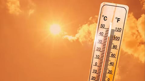 Summer Heat