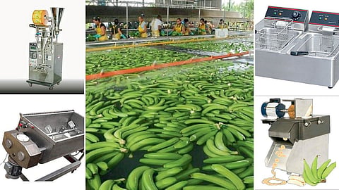 Banana Small Scale Industry