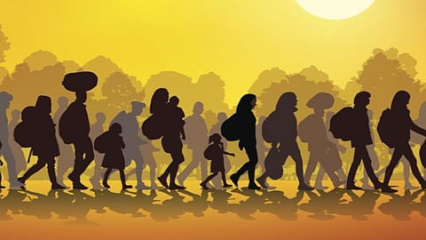 Migration