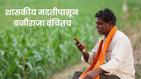 Indian Farmer