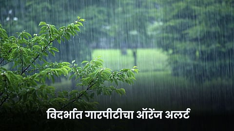 Weather