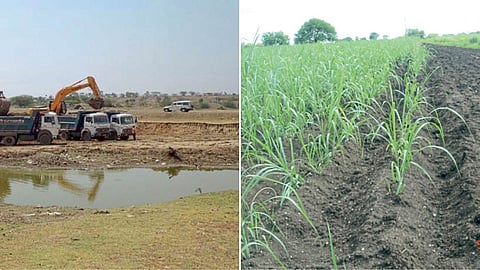 Agriculture Sludge