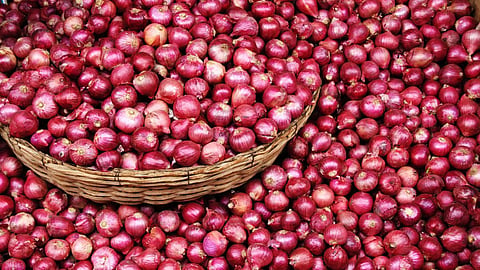 Onion