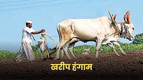 Kharif Farming