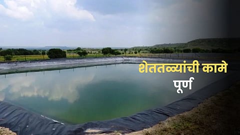 Farm Pond