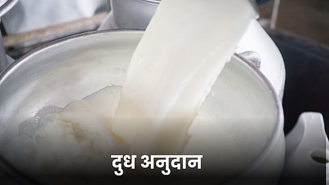 Milk Subsidy