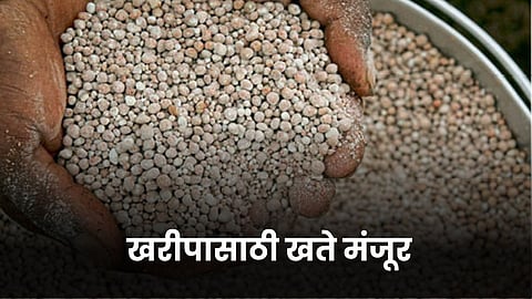 Fertilizer