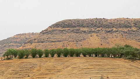 Drought Condition