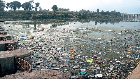 River Pollution