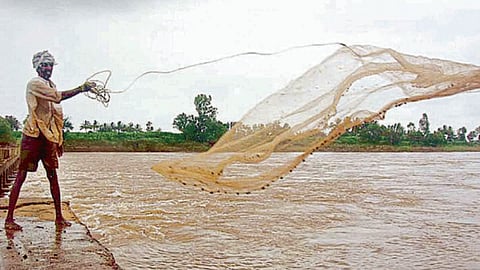 Fisheries