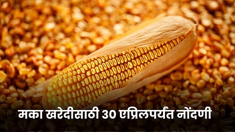 Maize Registration