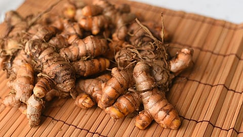 Turmeric Seed