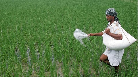 Fertilizer Sales