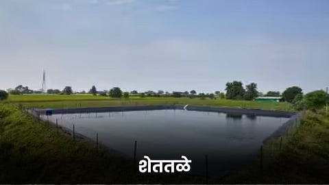 Farm Pond