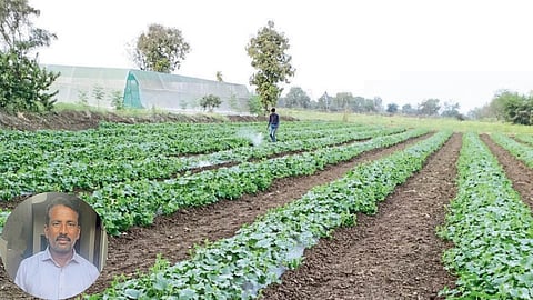 Navnath Deshmukh and Melon Farm