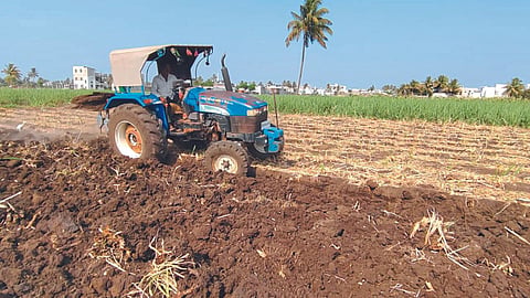 Agriculture Work