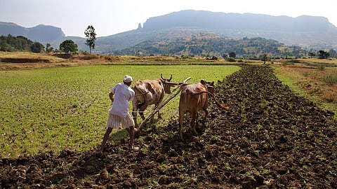 Agriculture