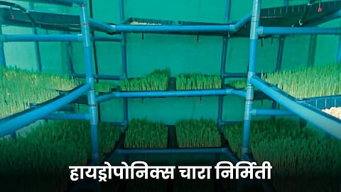 Fodder Production