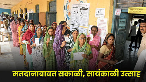 Voting