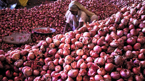 Onion Market
