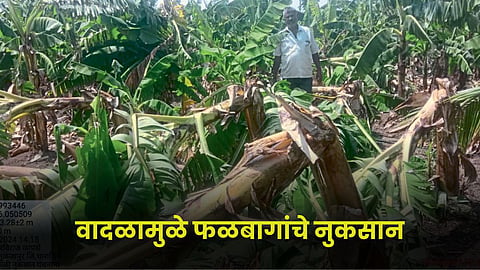 Crop Damage