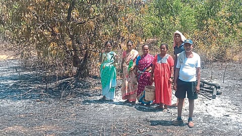 Orchard Fire
