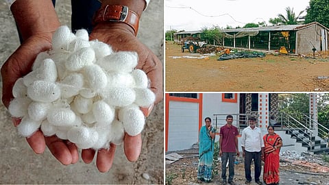 Sericulture