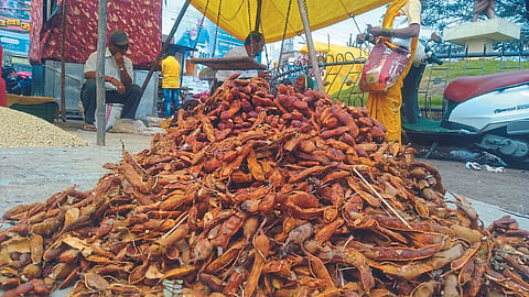 Tamarind