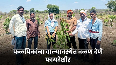 Agriculture
