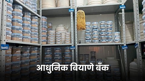 Seed Bank