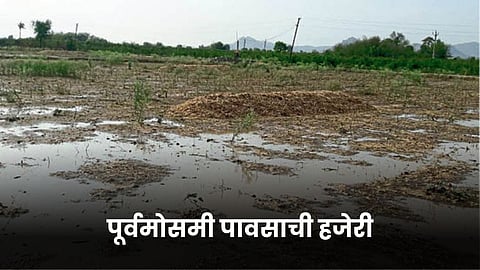 Monsoon Update