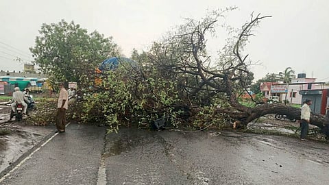 Rain Update