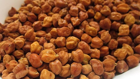 Chana