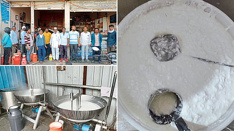 Dairy Business
