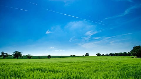 Agriculture Weather