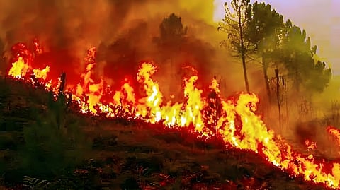 Uttarakhand Forest Fire