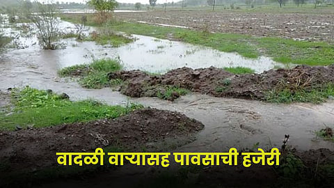 Rain Update