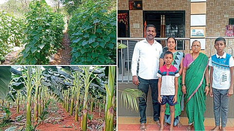 Agriculture Success Story