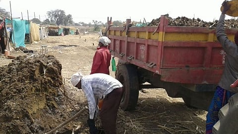 Cow Dung Shortage