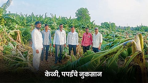 Crop Damage