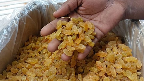 Sangli Currant Farmers