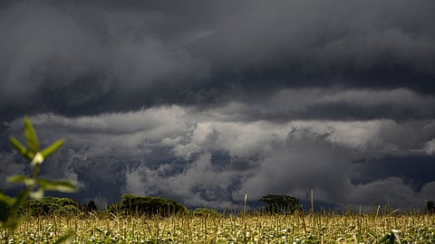 Rain Update