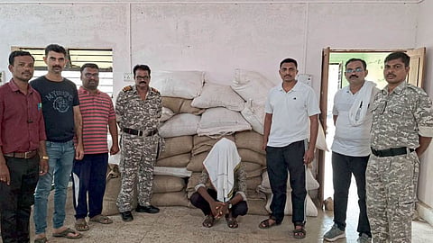 Illegal Seeds Seized