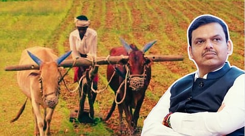 Crop loan