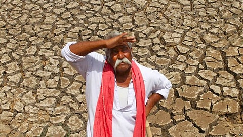 Farmer