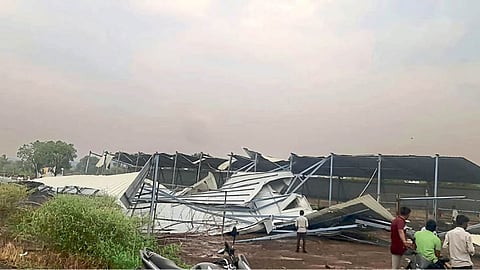 Rain Damage