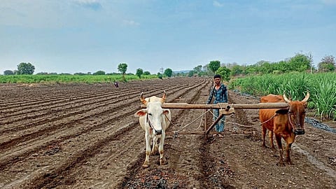 Kharif Season